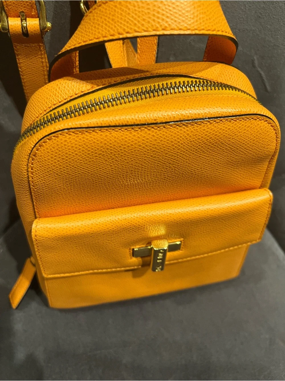 Celine Leather Mini Backpack with Turn Lock L New
